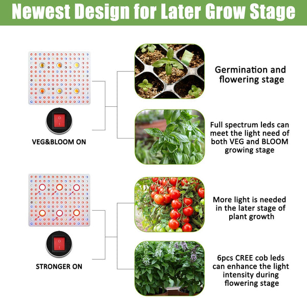 Phlizon CREE COB 3000W LED Plant Grow Light Full Spectrum Indoor Plants Light Growing Veg Flower CREE COB Grow Light