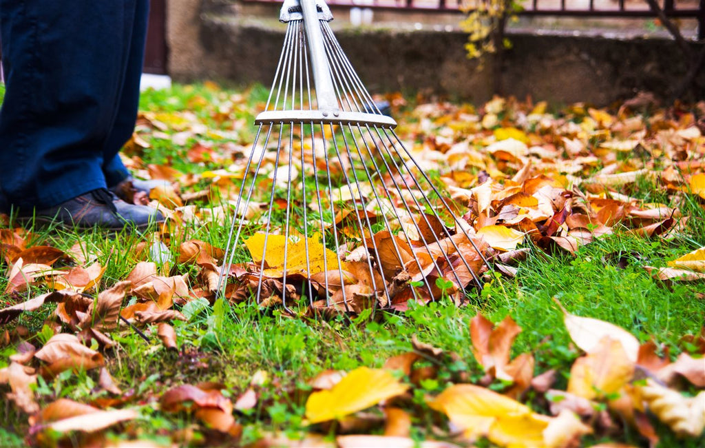 10 to-dos for home and yard winterization