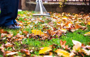 10 to-dos for home and yard winterization