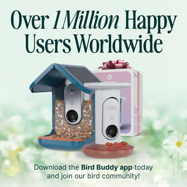 Birdbuddy PRO Solar Smart Bird Feeder with Camera - AI Bird Species Identification, 5MP Photos, 2K HD Video Live Stream Camera, Slow-Motion Video, 2.6in Focus - Blue Solar