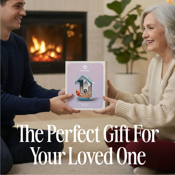 Birdbuddy PRO Solar Smart Bird Feeder with Camera - AI Bird Species Identification, 5MP Photos, 2K HD Video Live Stream Camera, Slow-Motion Video, 2.6in Focus - Blue Solar