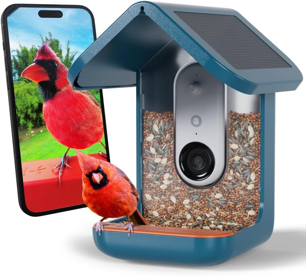 Birdbuddy PRO Solar Smart Bird Feeder with Camera - AI Bird Species Identification, 5MP Photos, 2K HD Video Live Stream Camera, Slow-Motion Video, 2.6in Focus - Blue Solar