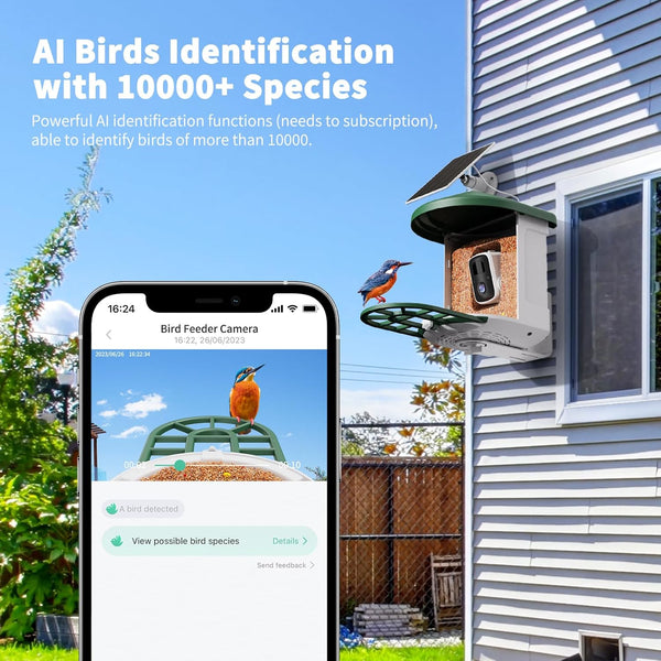 Bird Feeder with Camera with AI Identify Birds Species Solar Powered, Smart Bird House with Cam, 2K HD Video Live Stream, Instant Arrival Alerts - Green