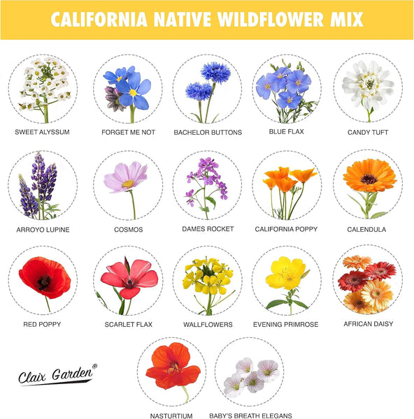 California Wildflower Mix - 10,000 Seeds - 17 Varieties - No Fillers, Open Pollinated and Non GMO, Perennial and Annual Garden Flowers, Attracts Bees and Butterflies