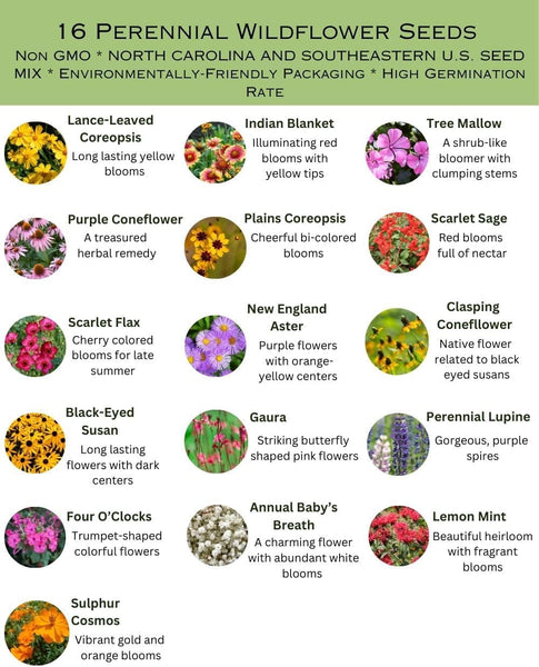 North Carolina Bulk Perennial Wildflower Seed Mix 1lb Covers 2,000sq-ft - Attract Pollinators, Multi-Color Blooms - Southeast US Species Plant in Spring/Fall, Earth-Friendly Packaging (1 Pound)