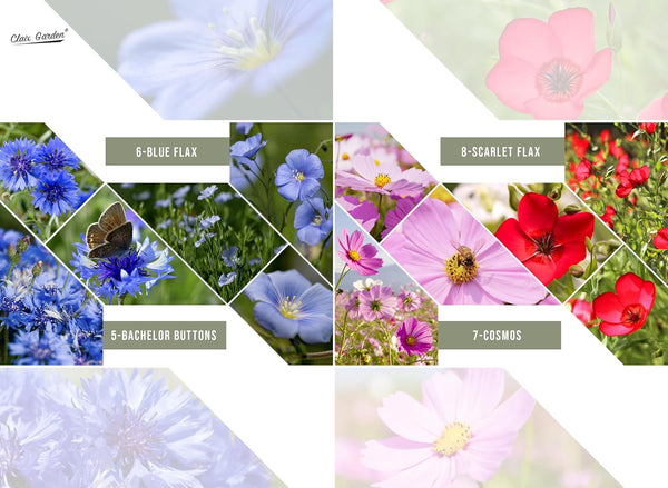 California Wildflower Mix - 10,000 Seeds - 17 Varieties - No Fillers, Open Pollinated and Non GMO, Perennial and Annual Garden Flowers, Attracts Bees and Butterflies