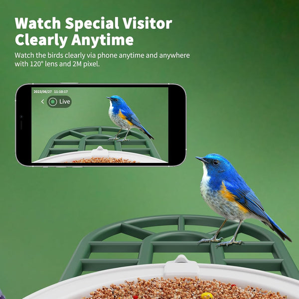 Bird Feeder with Camera with AI Identify Birds Species Solar Powered, Smart Bird House with Cam, 2K HD Video Live Stream, Instant Arrival Alerts - Green