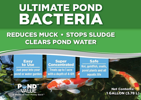 PondValue Ultimate Pond Bacteria, Outdoor Pond & Lake Natural Beneficial Bacteria Treatment, Aquatic Odor Reducer & Sludge Digester, Fish, Plant, & Livestock Safe, Easy Dosing Liquid, 1 Gallon Bottle