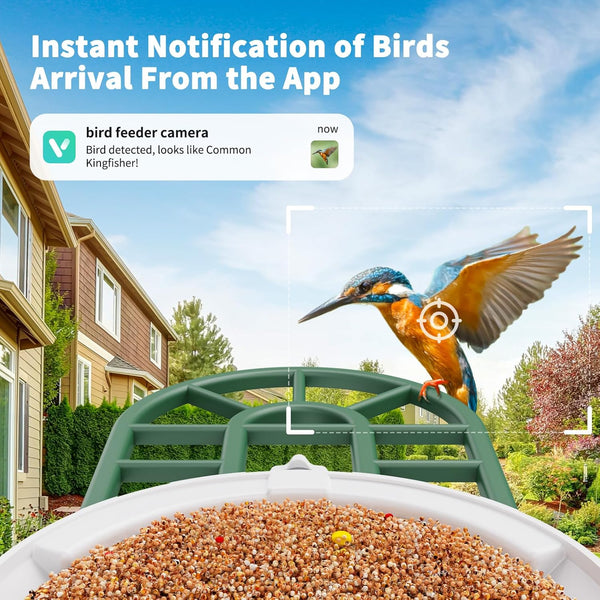 Bird Feeder with Camera with AI Identify Birds Species Solar Powered, Smart Bird House with Cam, 2K HD Video Live Stream, Instant Arrival Alerts - Green