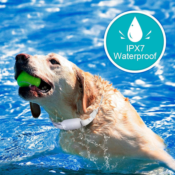 Bousnic Shock Collar for Dogs - Waterproof Rechargeable Dog Electric Training Collar with Remote for Small Medium Large Dogs