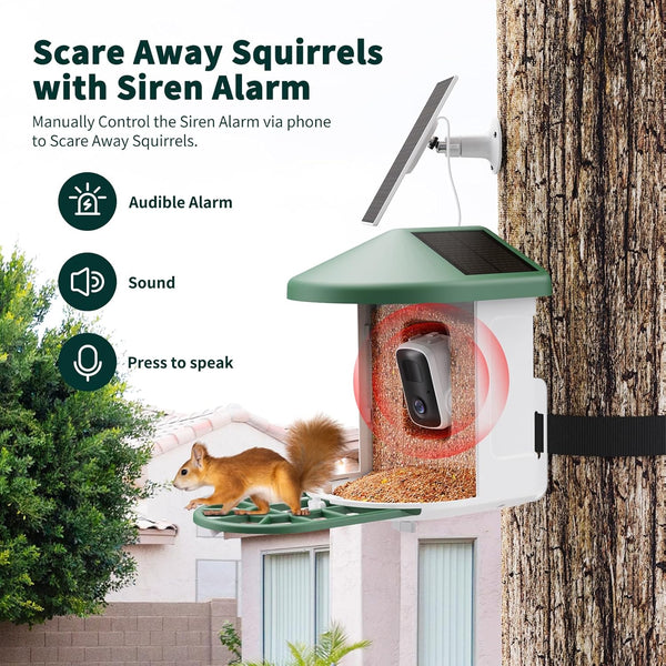 Bird Feeder with Camera with AI Identify Birds Species Solar Powered, Smart Bird House with Cam, 2K HD Video Live Stream, Instant Arrival Alerts - Green