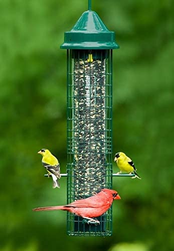 Squirrel Buster Classic 5.3"x5.3"x32" (w/hanger) Wild Bird Feeder with 4 Feeding Ports, 2.4lb Seed Capacity, 2 Pack
