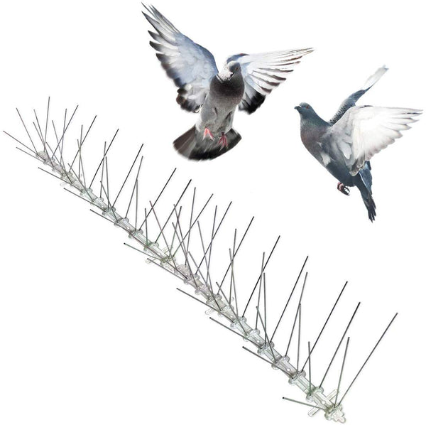 Bird-X Stainless Steel Bird Spikes, Covers 100 feet