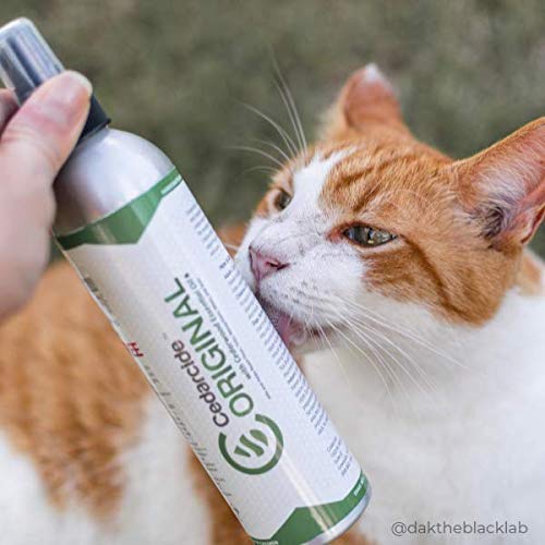 Cedarcide Indoor/Outdoor Kit (Medium) Contains Original Biting Insect Spray Quart + PCO Choice Cedar Oil Concentrate Lawn Bug Spray Kills and Repels Fleas, Ticks, Ants, Mites, and Mosquitoes