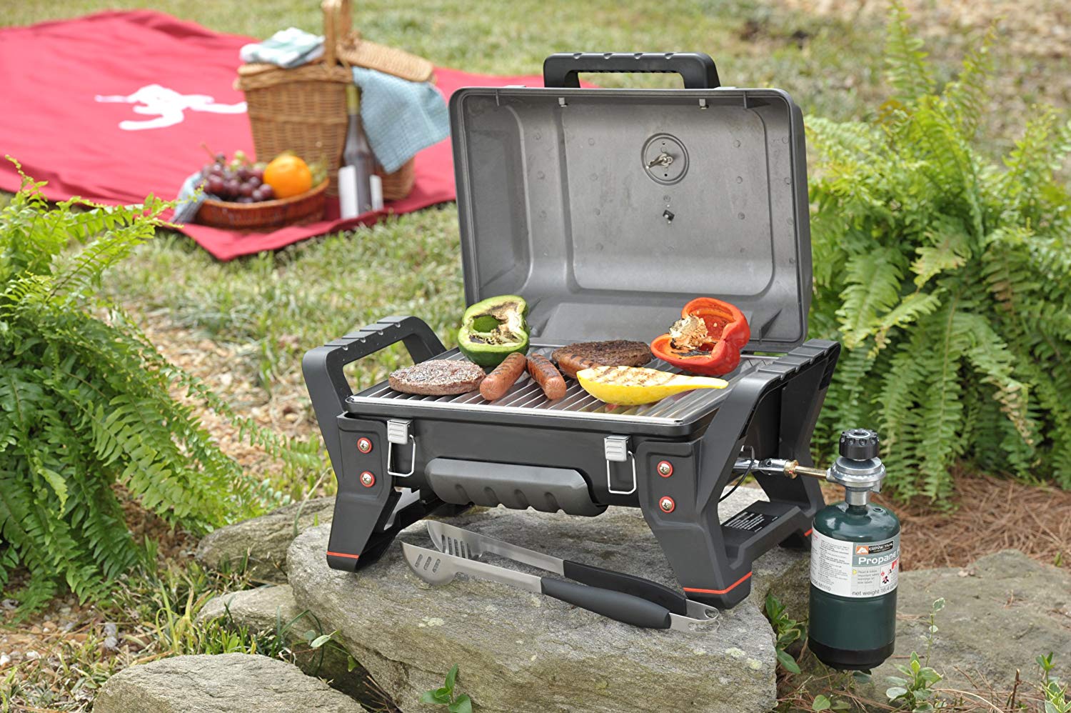 Charbroil x200 grill2go discount
