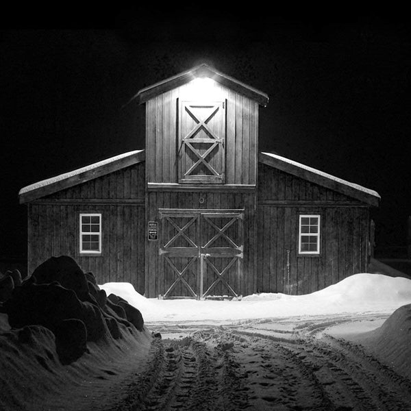 Gebosun Dusk to Dawn LED Outdoor Barn Security Light (Photocell Included) - 60W 9200 Lumen 6000k Street Floodlight